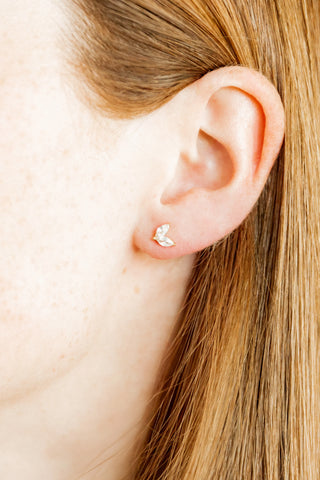 Screwback Stud Earrings - Nova