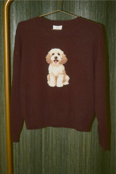 Cockapoo Sweater