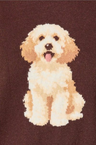 Cockapoo Sweater