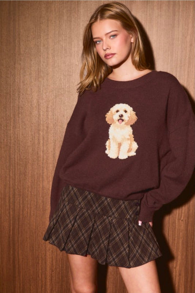 Cockapoo Sweater